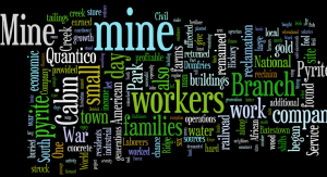 Word cloud for HIST 390 final project